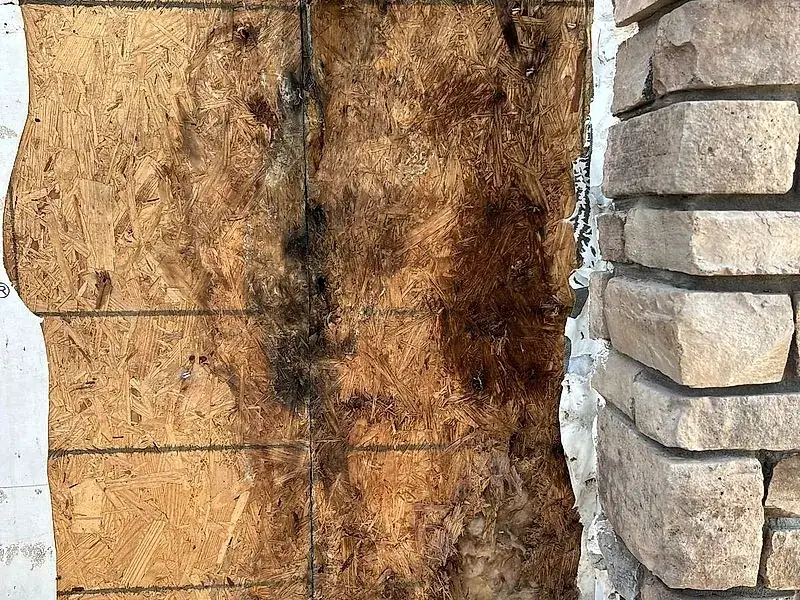 Rotted sheathing uncovered during a Mendoza Rodriguez repair, fixed before closing the wall